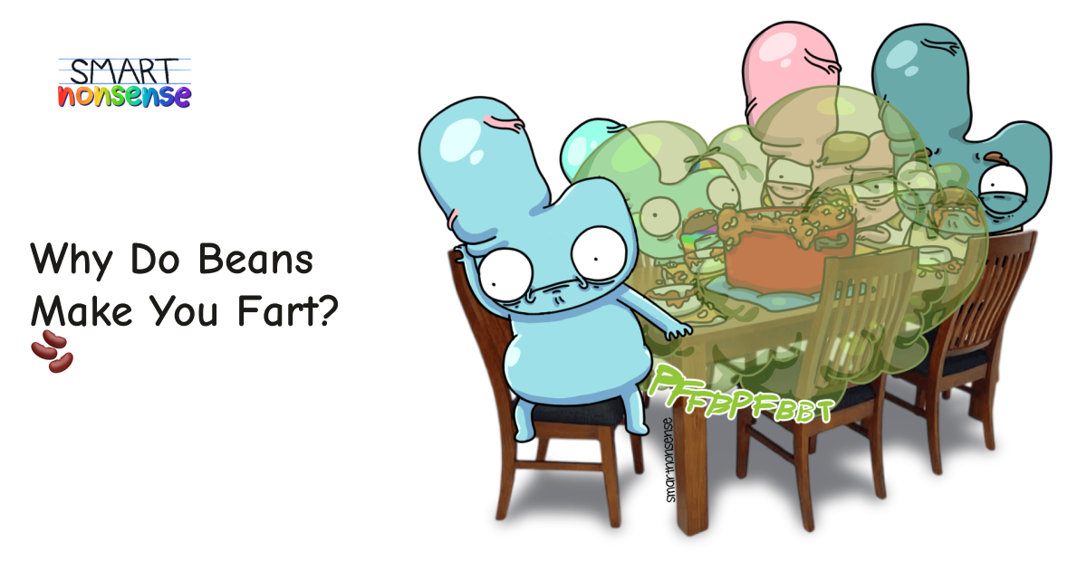 Why Do Beans Make You Fart? 🫘